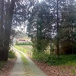 Quinta Da Calca - Esposende Semesterbostad