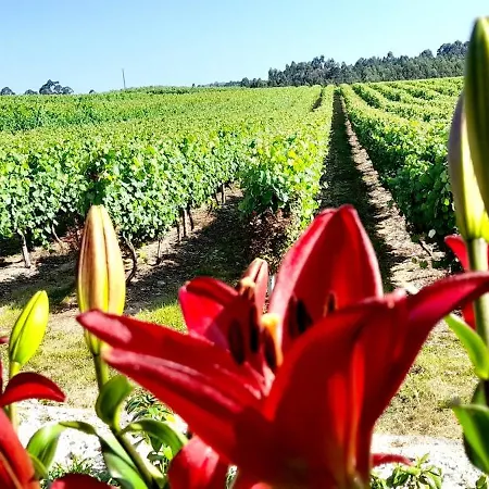Dom wakacyjny Quinta Da Calca - Esposende