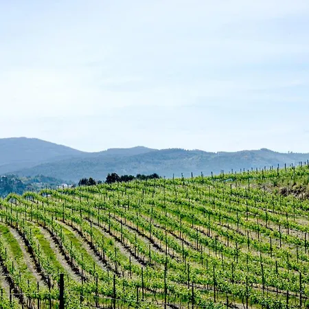 Quinta Da Calca - Esposende *