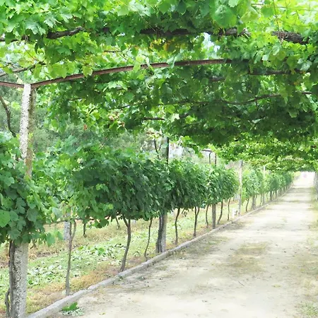 Quinta Da Calça - Esposende