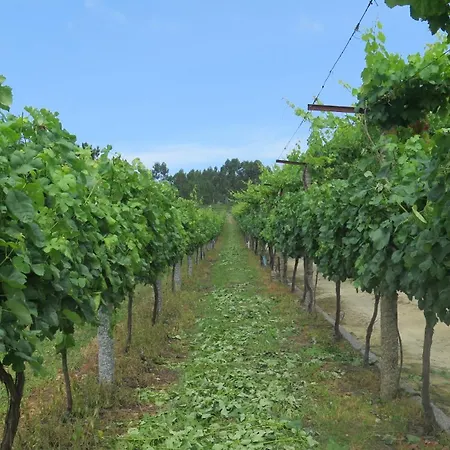 Quinta Da Calca - Esposende *