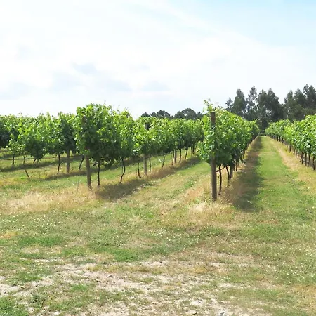 Quinta Da Calca - Esposende Semesterbostad