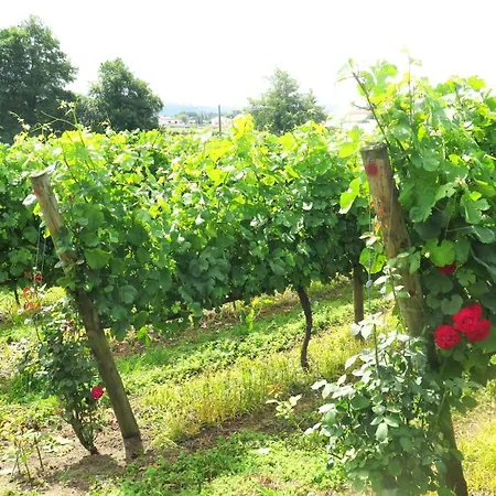 Quinta Da Calça - Esposende *