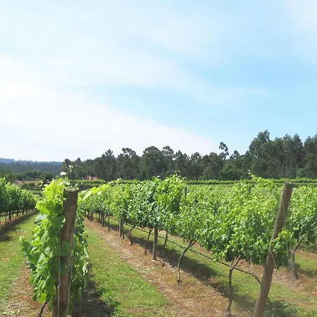 Quinta Da Calça - Esposende * Santa