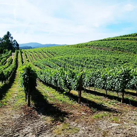 Quinta Da Calca - Esposende Dom wakacyjny *