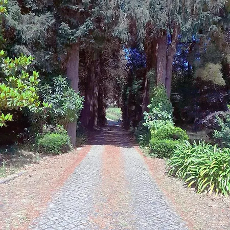 Dom wakacyjny Quinta Da Calca - Esposende Santa