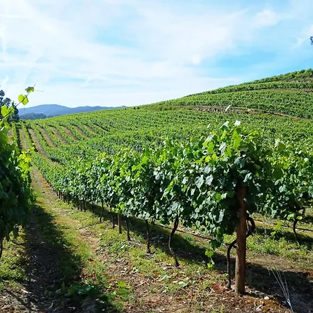 Dom wakacyjny Quinta Da Calca - Esposende